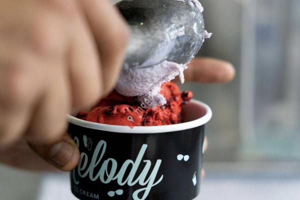 Sweet Melody Crafted Ice Cream