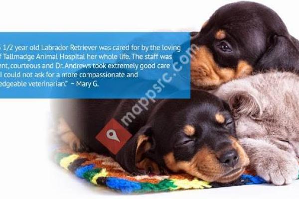 Tallmadge Animal Hospital