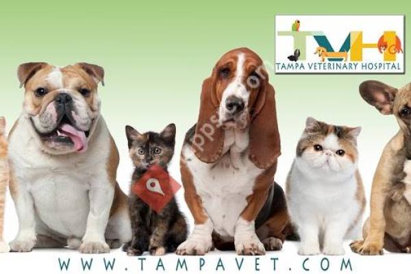 Tampa Veterinary Hospital
