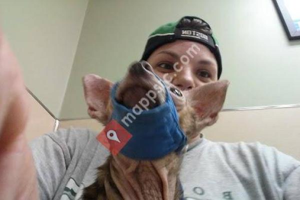 Taunton Animal Hospital