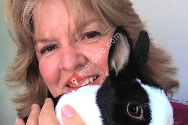 Telephone Therapy and Counseling with Sheila K O'Connor PhD c LMFT