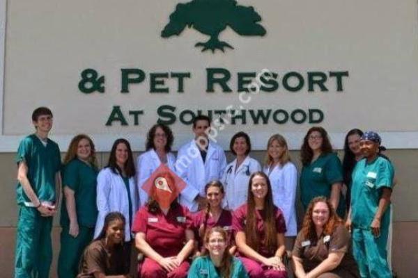 The Animal Hospital & Pet Resort at Southwood