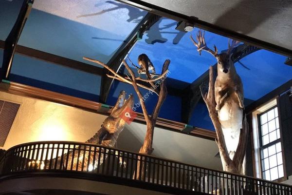 The Bayou of Montana