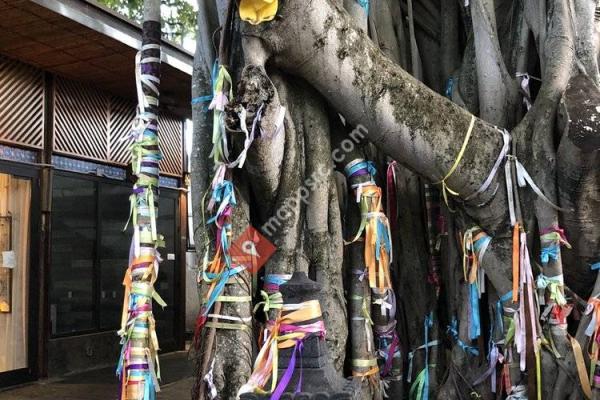 The Bodhi Wishtree