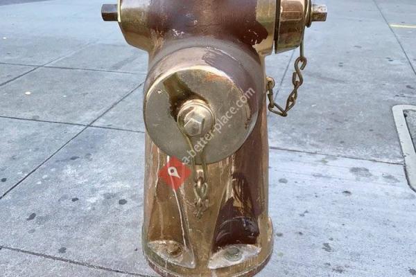 The Golden Fire Hydrant