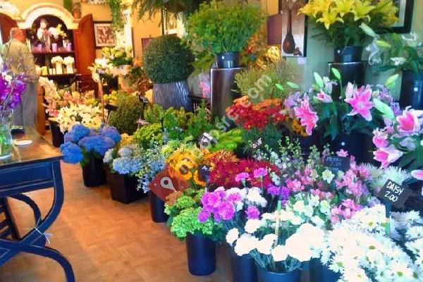 The Greenhouse Florist & Garden Center