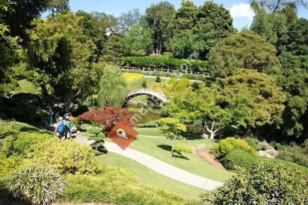 The Huntington Library, Art Collections, and Botanical Gardens