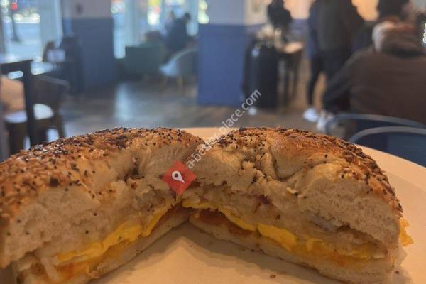 The Lazy Llama Coffeehouse - Atlantic Station