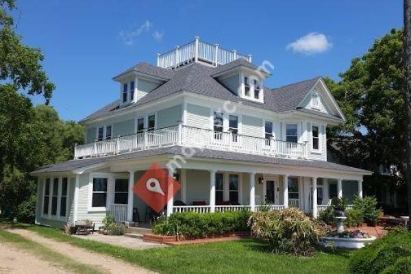 The Peaceful Pelican