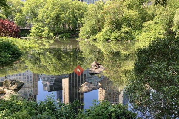 The Pond at Central Park