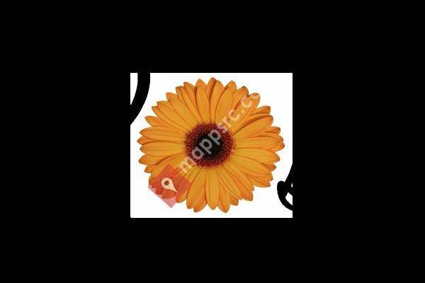 The Posh Daisy Salon Spa