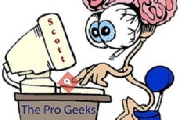 The Pro Geeks Inc