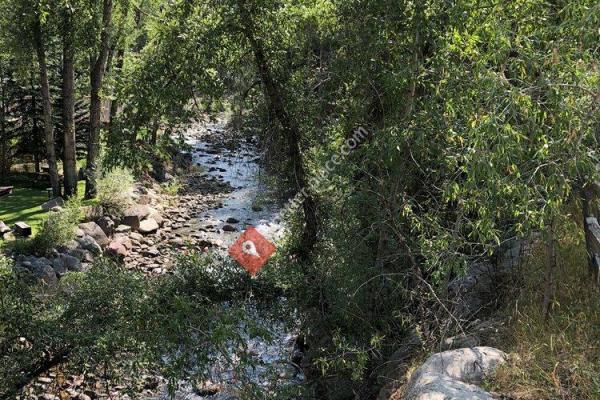 The Rio Grande Trail