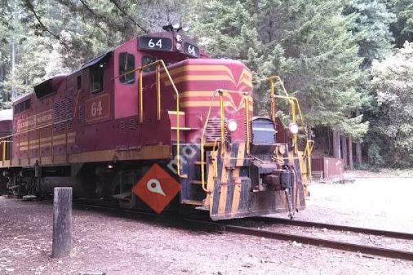 The Skunk Train