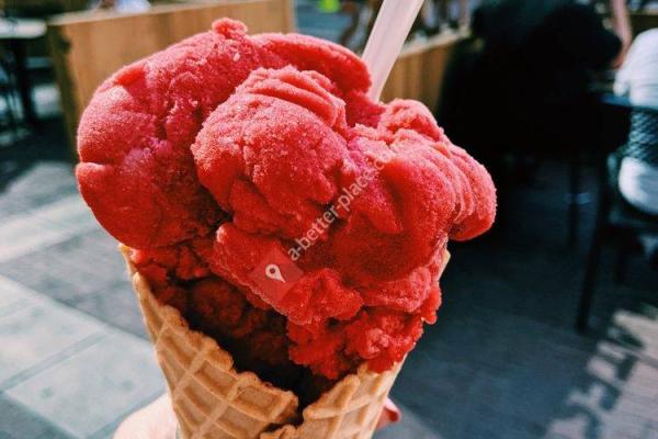 The South Bend Chocolate Company