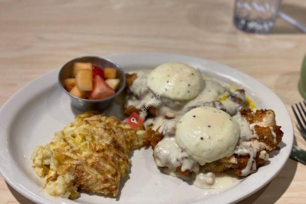 The Toasted Yolk Cafe- Germantown