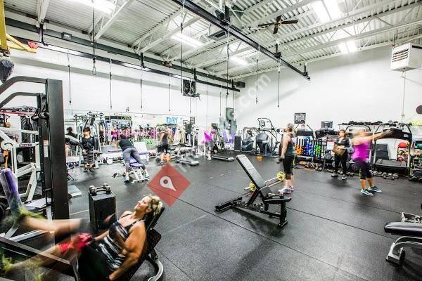The Workout Warehouse