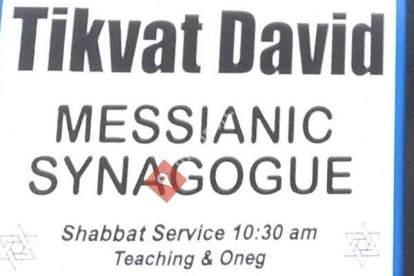 Tikvat David Messianic