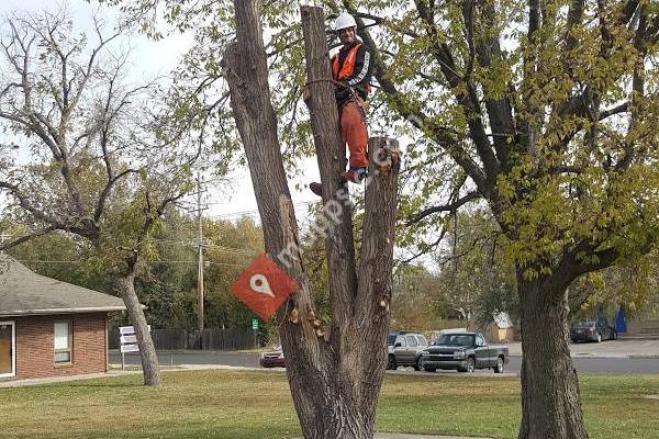 Timber Wolf Tree Services