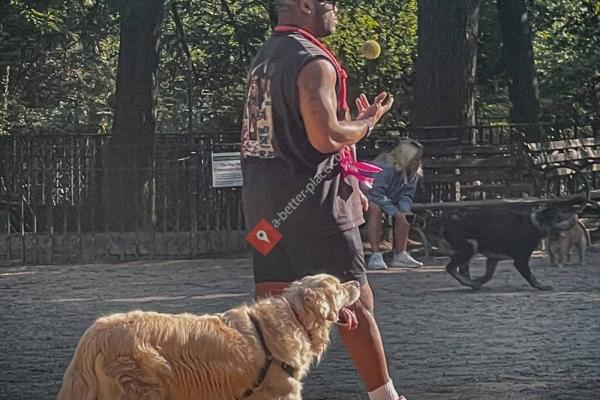 Tompkins Square Park Dog Run