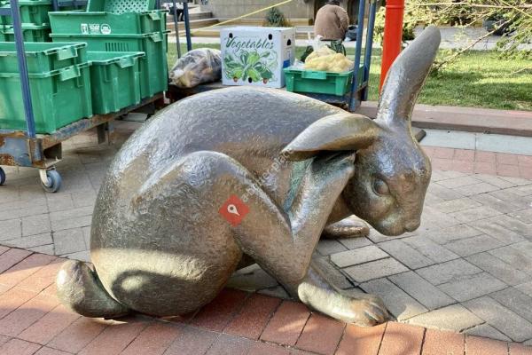 Tortoise and the Hare Sculpture