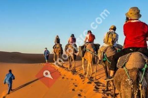 Tours To Morocco