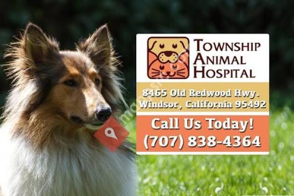 Township Animal Hospital