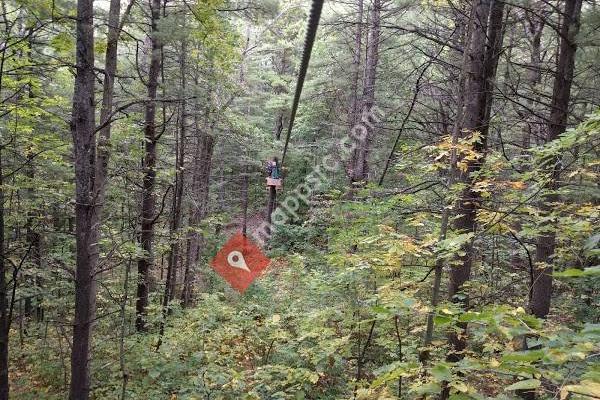 Treetop Trekking Ganaraska