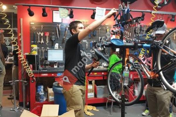 Trek Bicycle Store