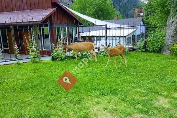 Uncompahgre National Forest