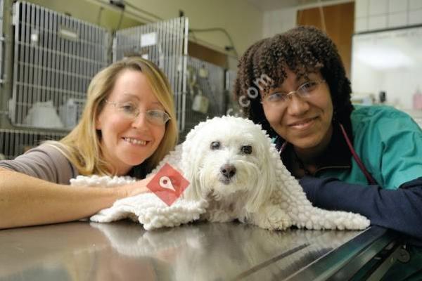 University of Illinois Veterinary Teaching Hospital