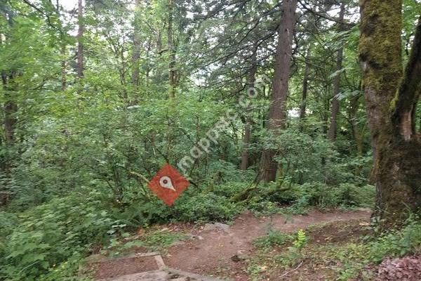 Upper Marquam Trailhead