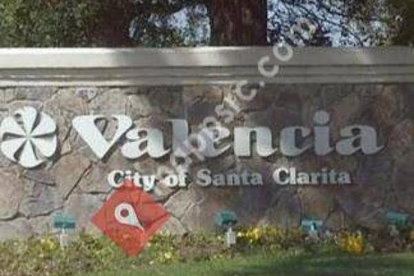 Valencia Veterinary Center - Emergency Veterinarian Service