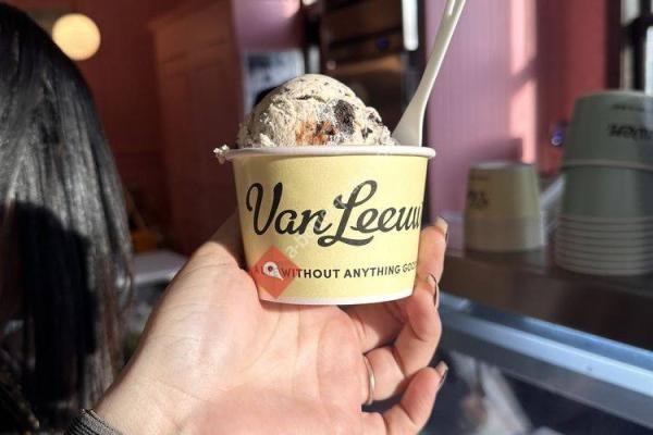 Van Leeuwen Ice Cream - Brooklyn Bridge Park