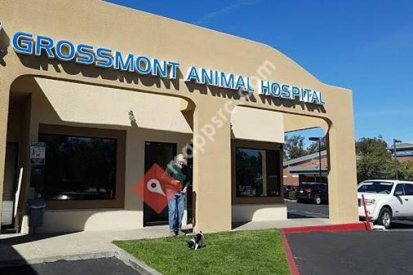 VCA Grossmont Animal Hospital