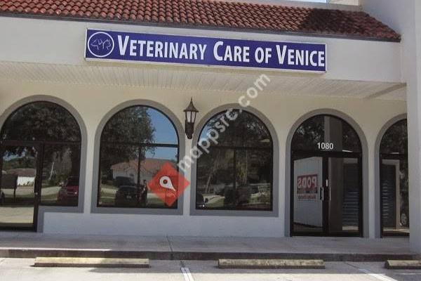 Veterinary Care of Venice