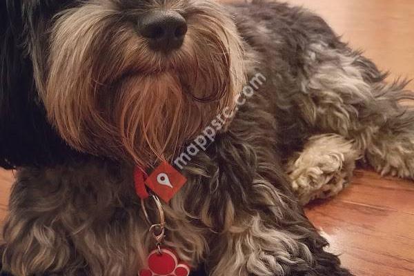 Veterinary Clinic Of Immokalee