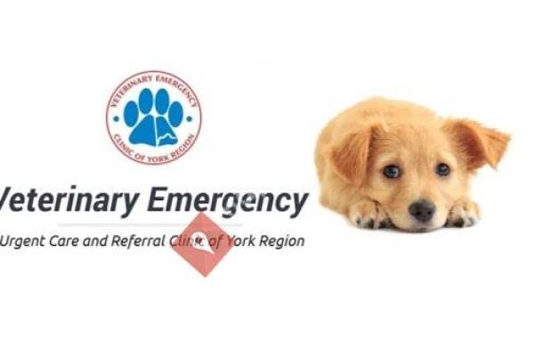 Veterinary Emergency, Urgent Care & Referral Clinic of York Region