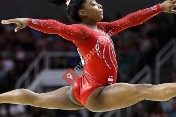 Victory Gymnastics Academy