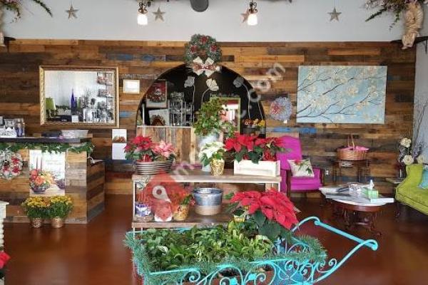 Virgina Beach Florist