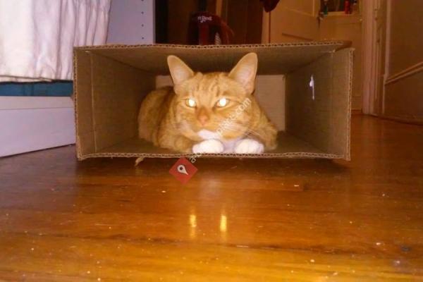 Virginia Highland Bass Station