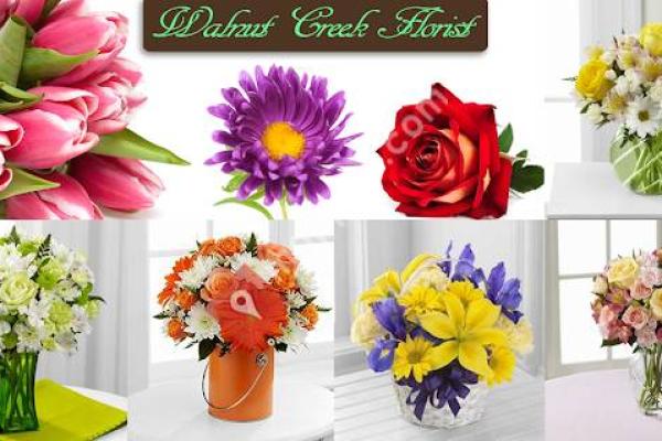 Walnut Creek Florist