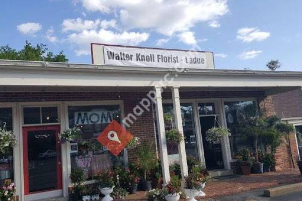 Walter Knoll Florist - Ladue (Formally Ladue Florist)