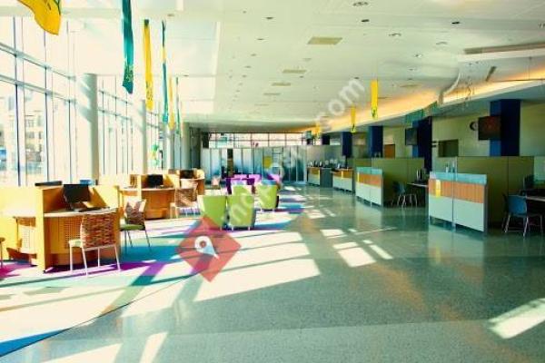 Wayne State University