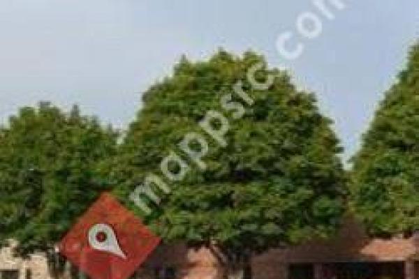 Western Wayne Physicians Allen Park