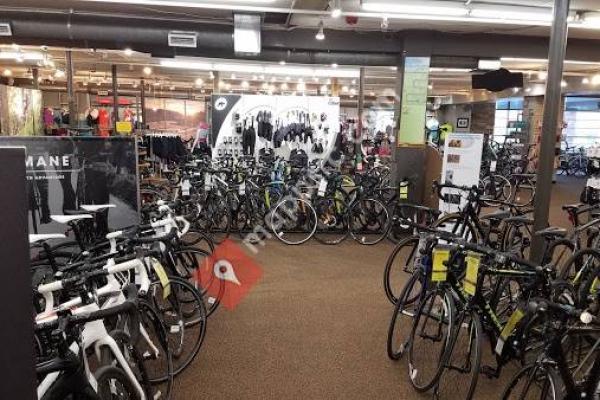 Wheat Ridge Cyclery