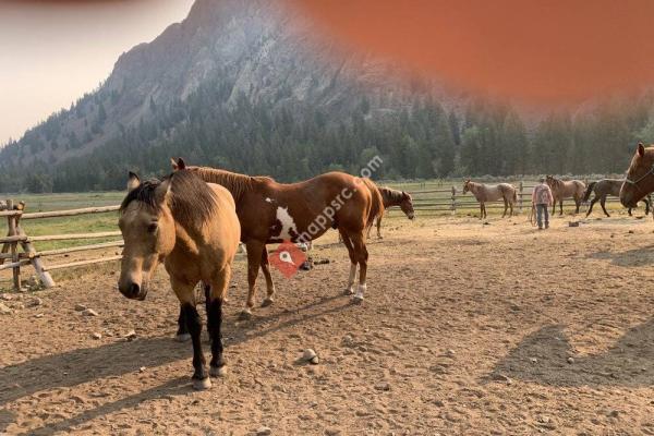 White Cloud Outfitters