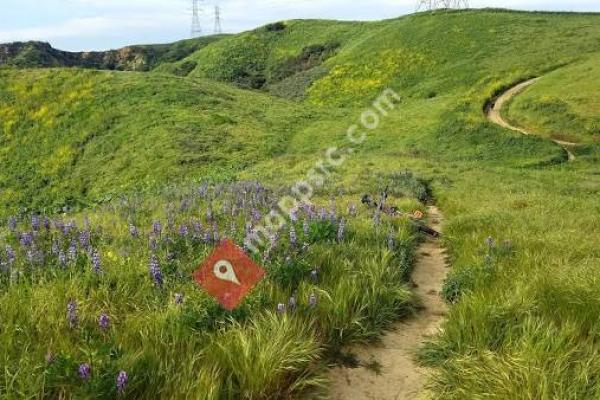 Whittier Turnbull Canyon Hiking Trail