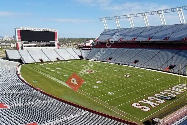 Williams-Brice Stadium