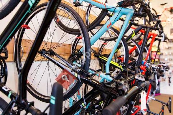 Wilson Cycle Sales & Service